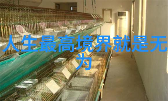 道德经诵读全文读诵全文我的道德经之旅从字里行间寻找生活智慧